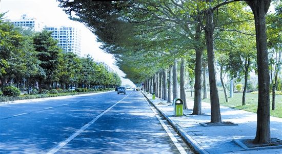崖州灣科技城研學(xué)大道A段道路工程項(xiàng)目EPC、監(jiān)理