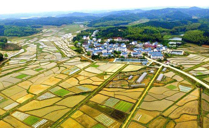 西安市臨潼區(qū)農(nóng)村“房地一體”宅基地和集體建設(shè)用地不動(dòng)產(chǎn)權(quán)籍調(diào)查牽頭服務(wù)采購項(xiàng)目、地權(quán)籍調(diào)查服務(wù)采購項(xiàng)目
