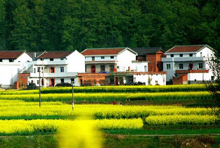 府谷縣農(nóng)村宅基地和集體建設用地確權登記發(fā)證工作技術服務項目