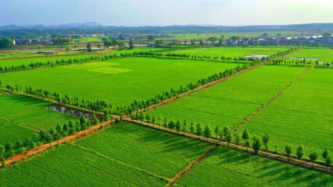 扶風縣2014年高標準基本農(nóng)田建設(shè)項目（一標段）扶風天度鎮(zhèn)南陽村等6個村高標準基本農(nóng)田建設(shè)項目